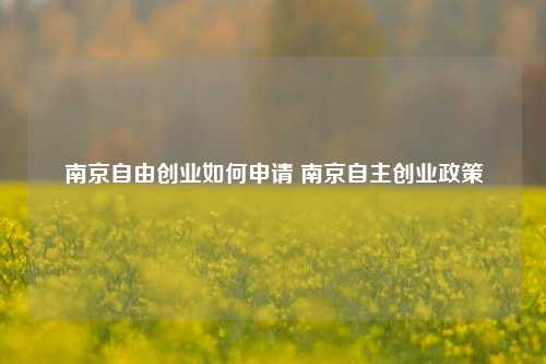 南京自由创业如何申请 南京自主创业政策