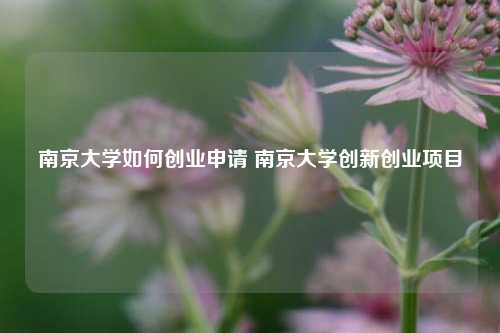 南京大学如何创业申请 南京大学创新创业项目